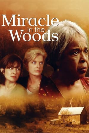 Miracle in the Woods poster art