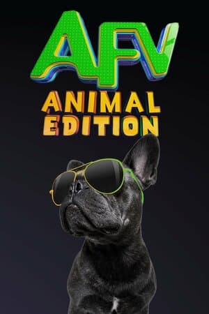 America's Funniest Home Videos: Animal Edition poster art