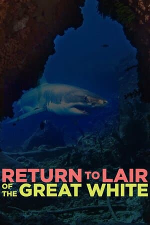 Return to Lair of the Great White poster art