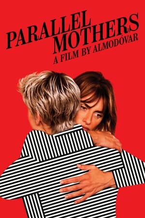 Parallel Mothers poster art