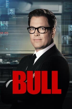 Bull poster art