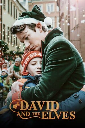 David and the Elves poster art