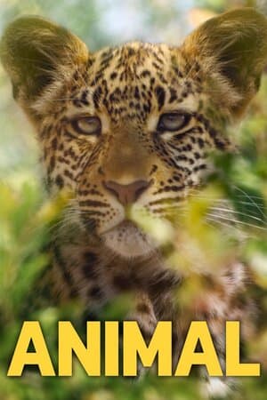 Animal poster art