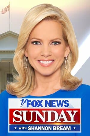 FOX News Sunday poster art