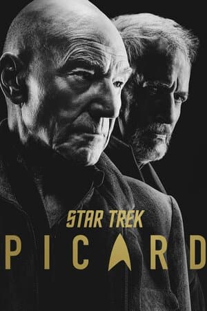 Star Trek: Picard poster art
