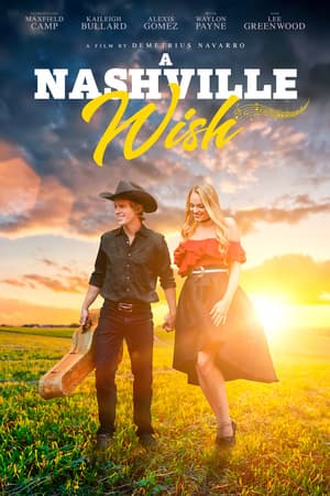 A Nashville Wish poster art