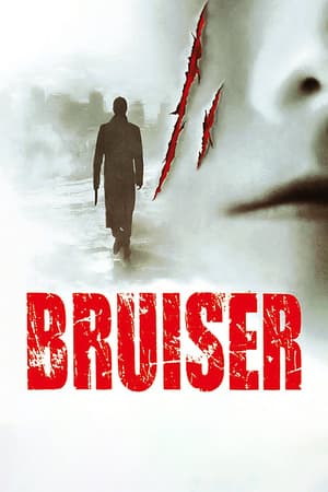 Bruiser poster art