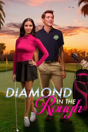 Diamond in the Rough poster art