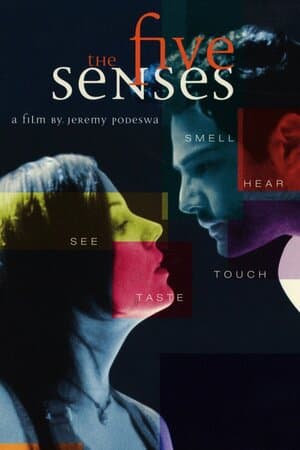 The Five Senses poster art