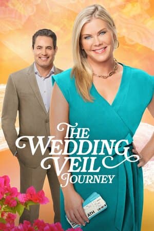 The Wedding Veil Journey poster art