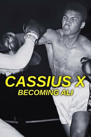 Cassius X: Becoming Ali poster art