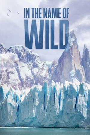 In the Name of Wild poster art