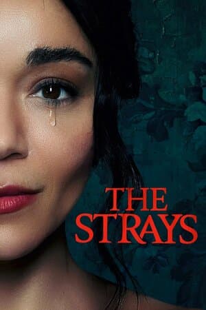 The Strays poster art