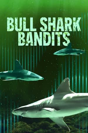 Bull Shark Bandits poster art