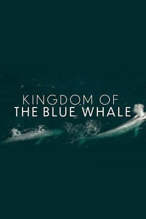 Kingdom of the Blue Whale poster art