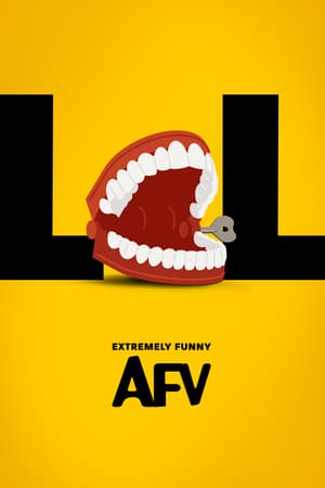 America's Funniest Home Videos poster art