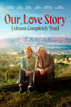 Our (Almost Completely True) Love Story poster art