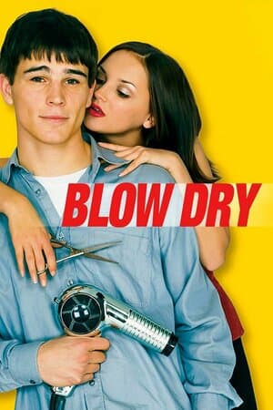 Blow Dry poster art