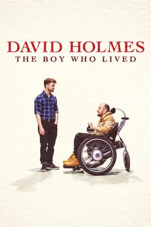 David Holmes: The Boy Who Lived poster art