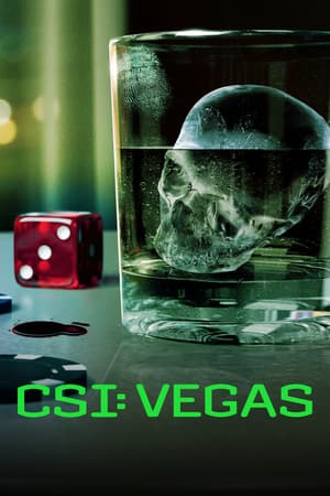 CSI: Vegas poster art