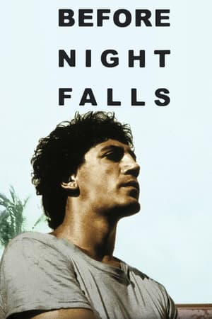 Before Night Falls poster art