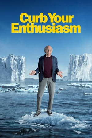 Curb Your Enthusiasm poster art