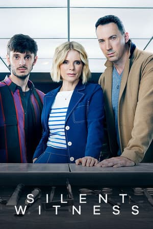 Silent Witness poster art