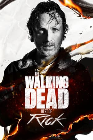 The Walking Dead: Best of Rick poster art