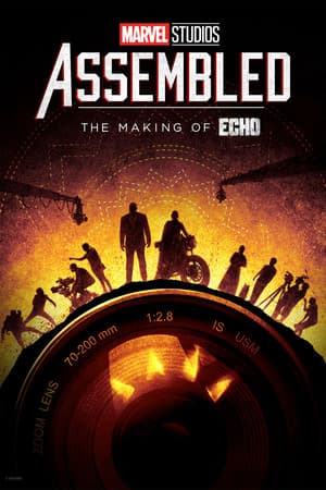 Assembled: The Making of Echo poster art