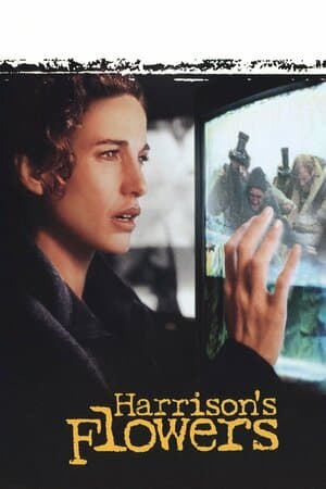 Harrison's Flowers poster art