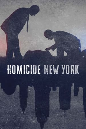 Homicide: New York poster art