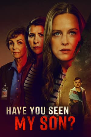 Have You Seen My Son? poster art