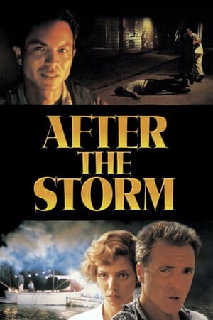 After the Storm poster art