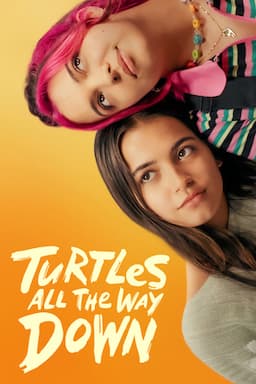 Turtles All the Way Down poster art