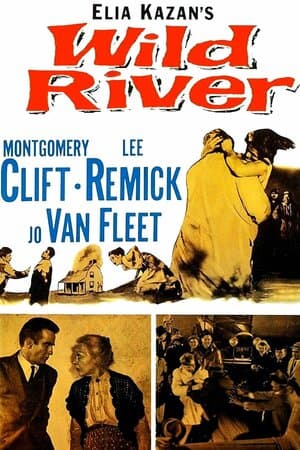 Wild River poster art