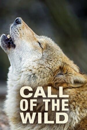 Call of the Wild poster art