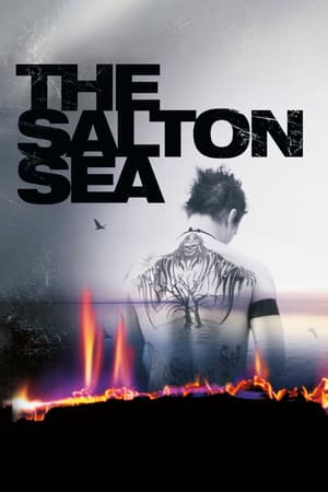 The Salton Sea poster art