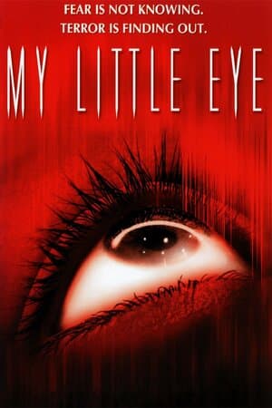 My Little Eye poster art