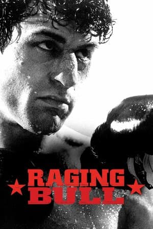 Raging Bull poster art