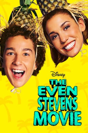 The Even Stevens Movie poster art