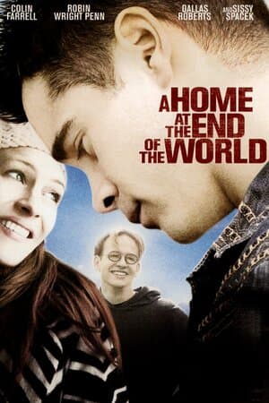 A Home at the End of the World poster art