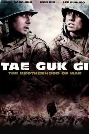 Tae Guk Gi: The Brotherhood of War poster art