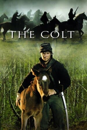 The Colt poster art