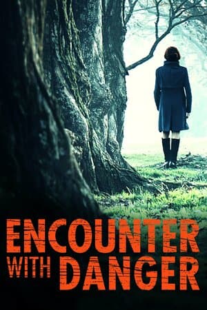 Encounter With Danger poster art