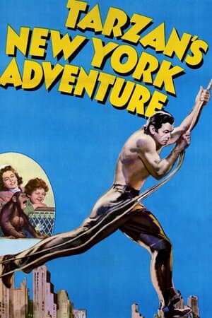 Tarzan's New York Adventure poster art