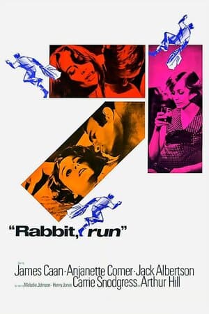 Rabbit, Run poster art