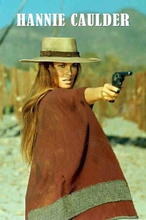 Hannie Caulder poster art