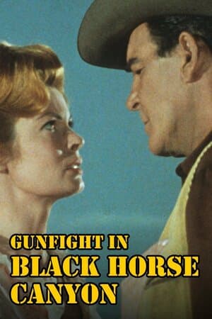 Gunfight in Black Horse Canyon poster art