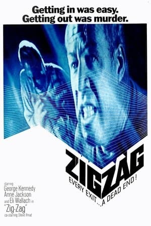 Zigzag poster art