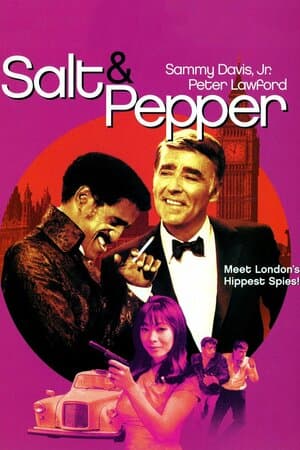 Salt and Pepper poster art